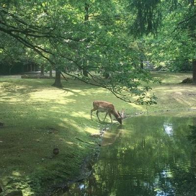 战玲珑2折扣版下载