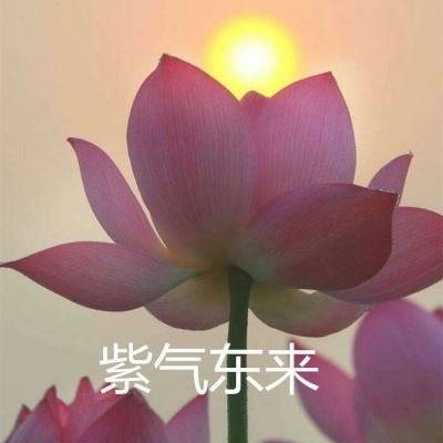 思政课里的“青春密码”——岚山区多元化推动思政...